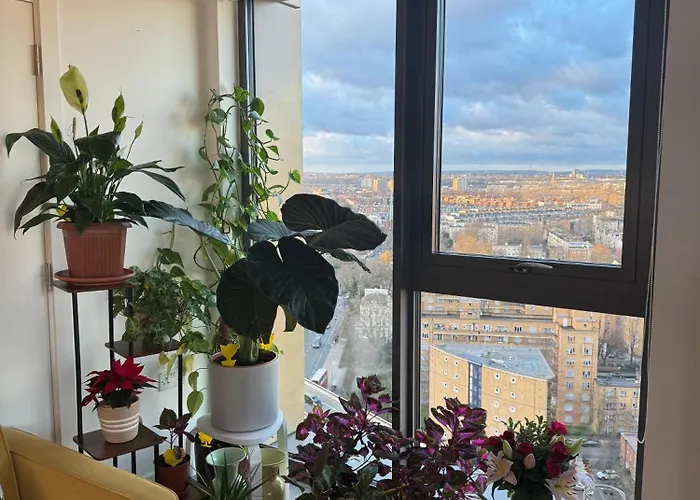 Paddington Apartment London